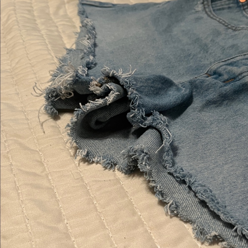 Madewell Relaxed Denim Shorts in Cedarcroft Light Blue Wash with Frayed Ends - Picture 6 of 16